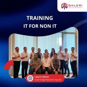 TRAINING IT FOR NON IT